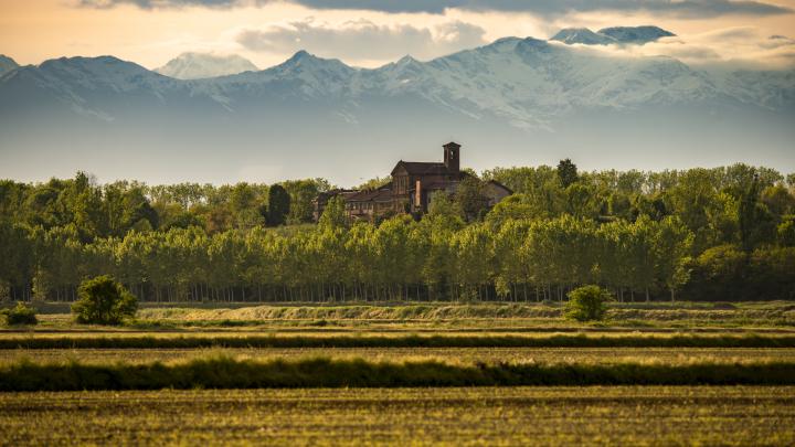 Risaie vercellesi. Archivio Fotografico ATL Terre dell'Alto Piemonte