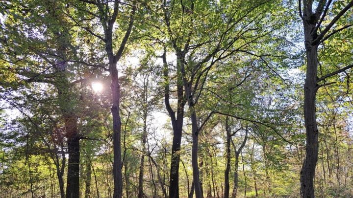 Foto di Raffaella Amelotti