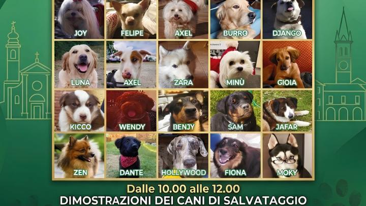 Giornata Cinofila