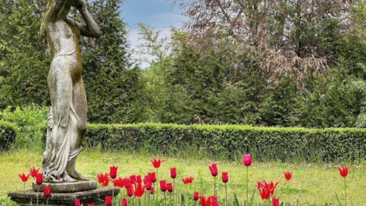 Credito fotografico: foto di Giulio Morra - Torino Foto Studio