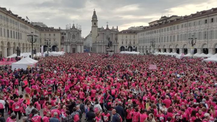 54409157_1257807477705483_66238677856026624_n