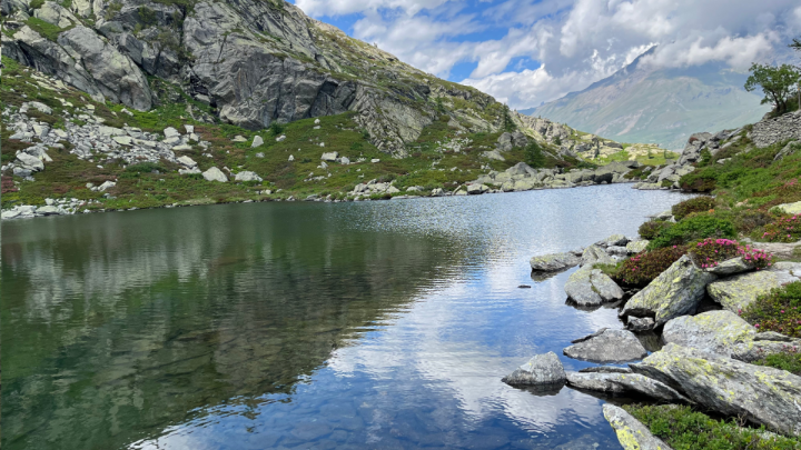 Camminata Arpone E Roterel