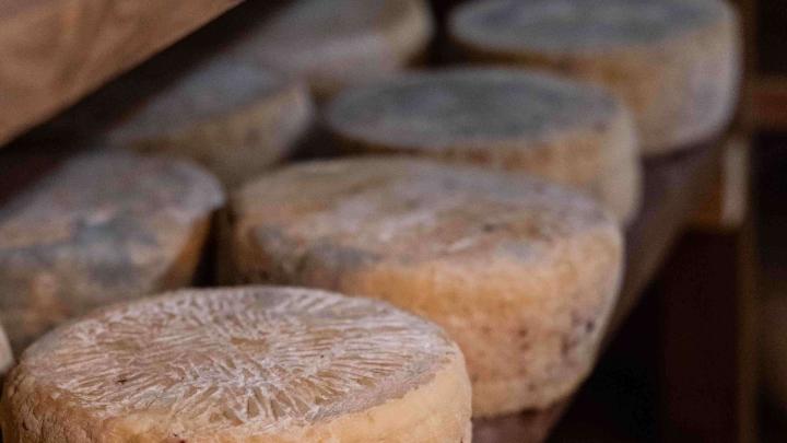 6D0A7873-le-delizie-del-dahu_formaggio