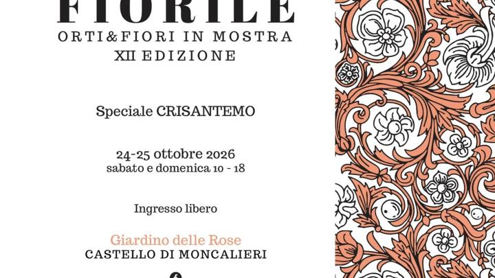 Fiorile Crisantemo26
