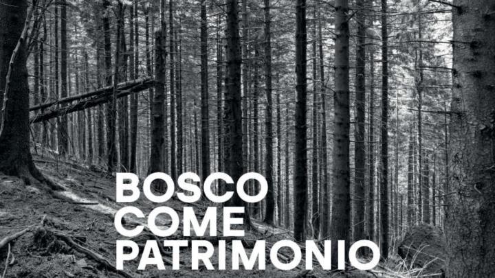 Titolo su fotografia in bianco e nero di un bosco