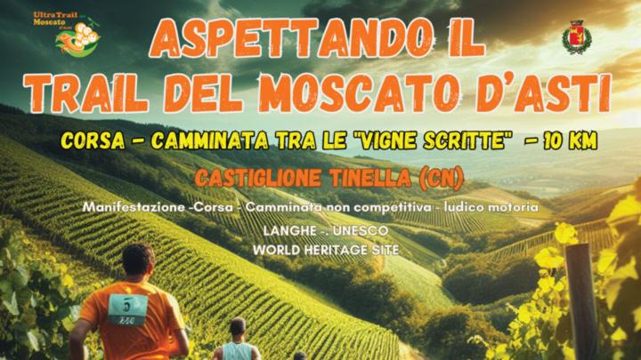 Particolare della locandina di passata edizione dell'evento Foto di podisti in corsa su sentiero tra vigne collinari al tramonto, legende