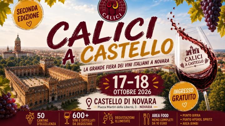 Banner della manifestazione edizione 2026 Grafica con foto del castello di Novara, calie di vino e grappoli d'uva