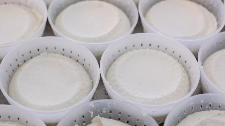 Crediti d'immagine: Archivio Ente Turismo LMR. @Mikael_Masoero, Cascina Stutz Fotografia con formaggette entro contenitori