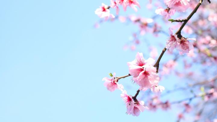 Credito fotografico: Azienda Turistica Locale del Cuneese