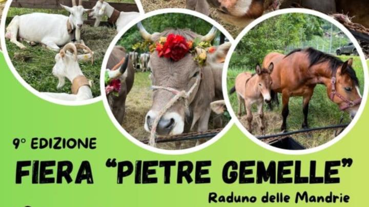 Fotografie di bestiame bovino, equino e ovino entro tondi, titolo e informazioni