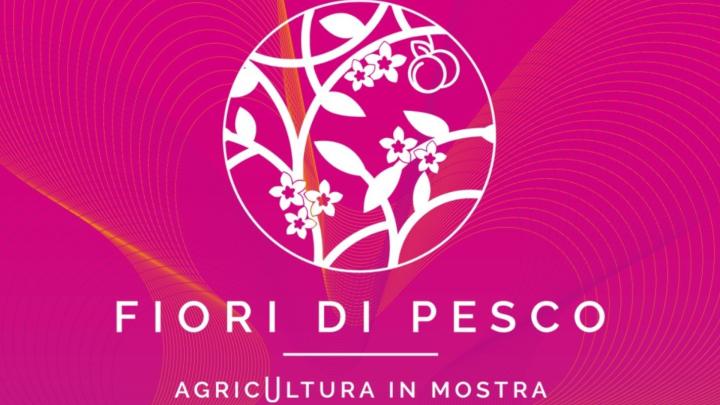 Credito fotografico: Alexala