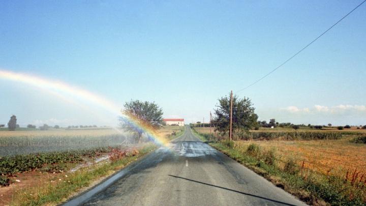 ph. Vittore Fossati, Oviglio 1981 (particolare)