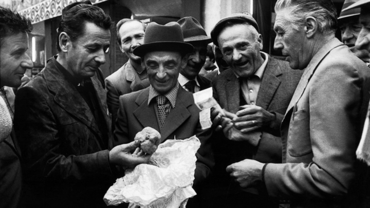Foto d'epoca in bianco e nero, con gruppo di uomini intorno a un tartufo
