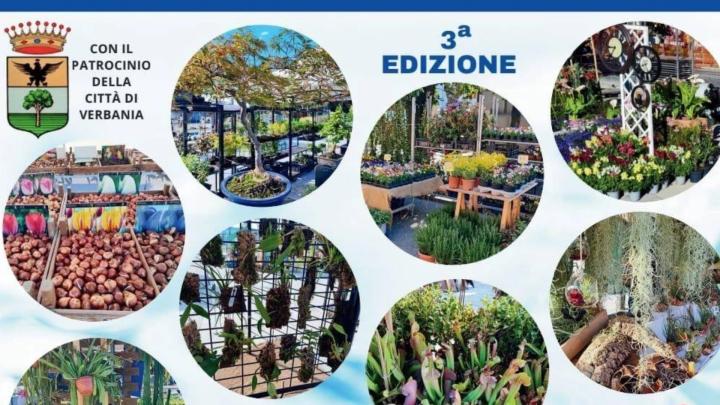 Particolare della locandina Stemma della Città di Verbania e foto circolari con piante e fiori