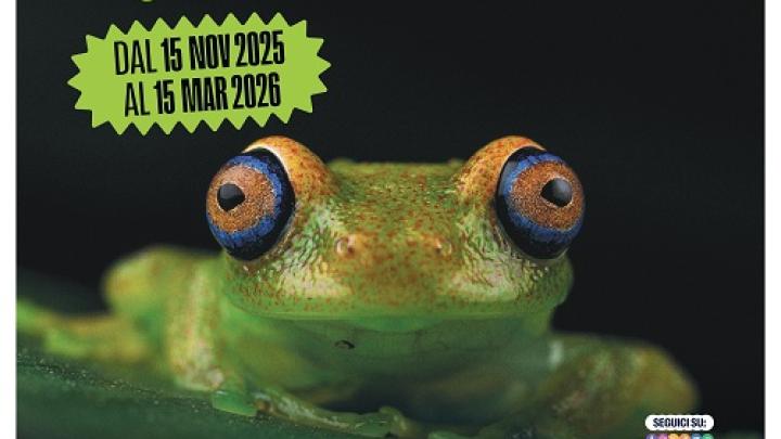 Locandina_A3_Mostra_Amphibia2