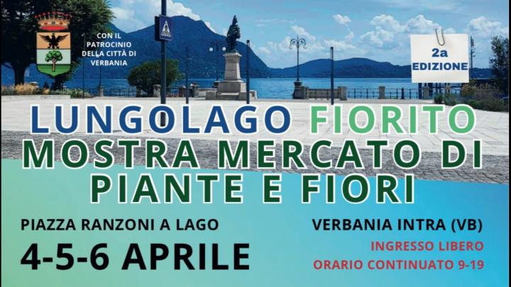 Titolo, scritte, stemma civico e logo, fotografia del lungolago di Verbania con monumento di bronzo