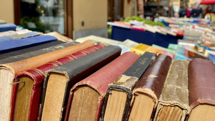 Mercatino Pulci Giaveno