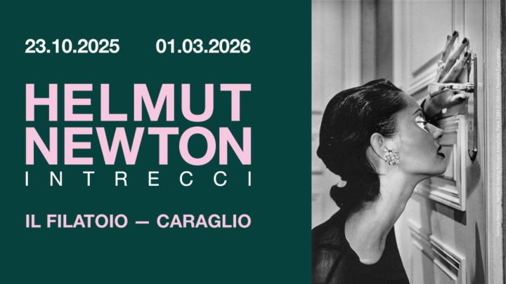 Titolo e fotografia in bianco e nero di giovane donna elegante di profilo