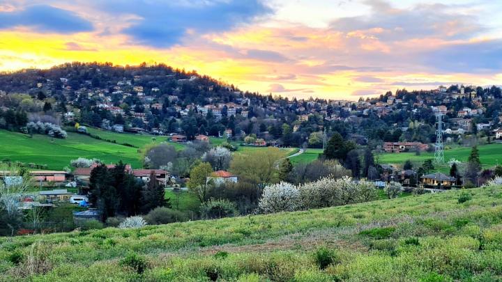 Colline fiorite intorno a Pino Torinese