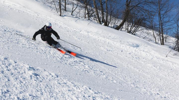 Credito fotografico: Archivio fotografico dell’ATL del Cuneese - @DanieleCastellaro Particolare di fotografia con sciatore in discesa su neve durante giornata di sole, alberi sullo sfondo
