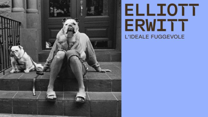 Elliott Erwitt. L’ideale fuggevole