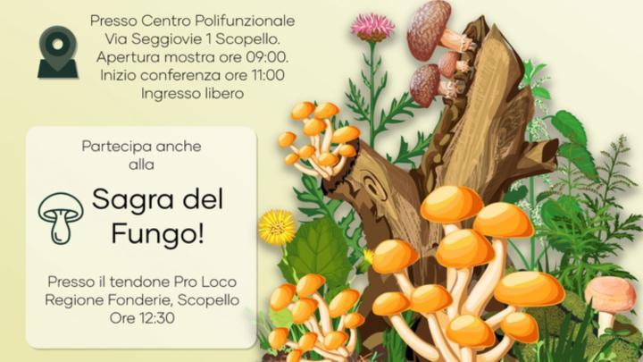 Particolare della locandina dell'evento Informazioni, illustrazione con funghi intorno alle radici di un albero