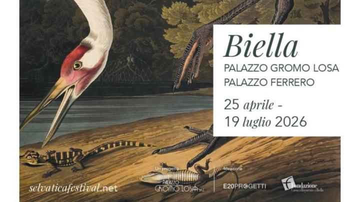 Paritoclare di stampa naturalistica settecentesca a colori con uccello che becca alcuni rettili, scritte e loghi 