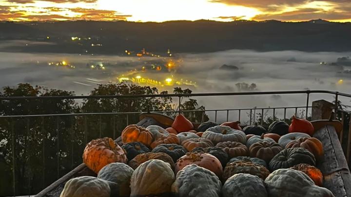 FIERA REGIONALE DELLA ZUCCA