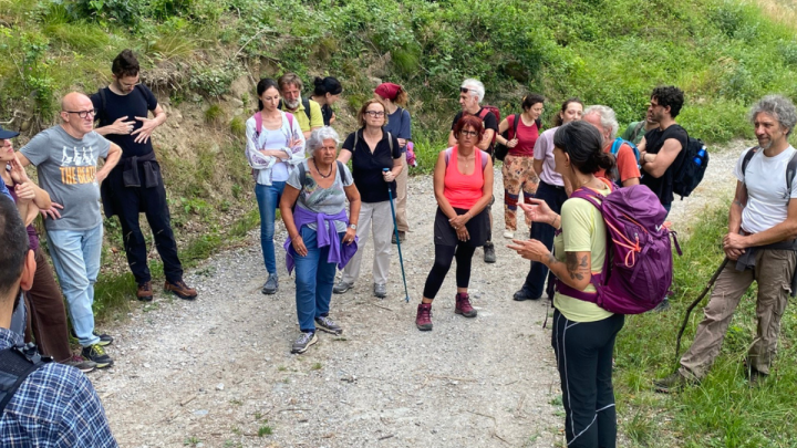 Sentiero Principi in Cammino