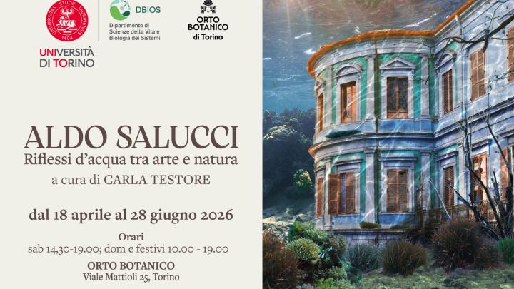 Mostra Salucci
