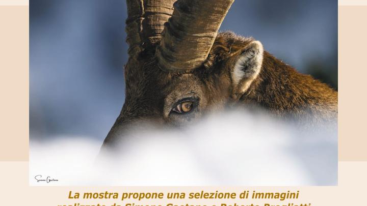 Ivrea Wild Horizons Loc