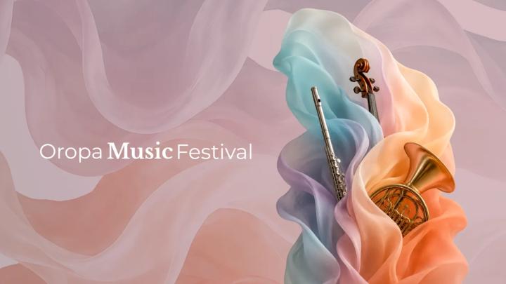 Banner dal sito ufficiale del festival, edizione 2026 Fotografia digitale con strumenti musicali fra veli colorati