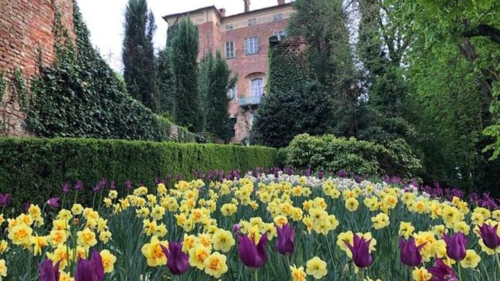 Parco di un castello con in secondo piano un edificio e alberi, in primo piano fioritura di narcisi e altri fiori