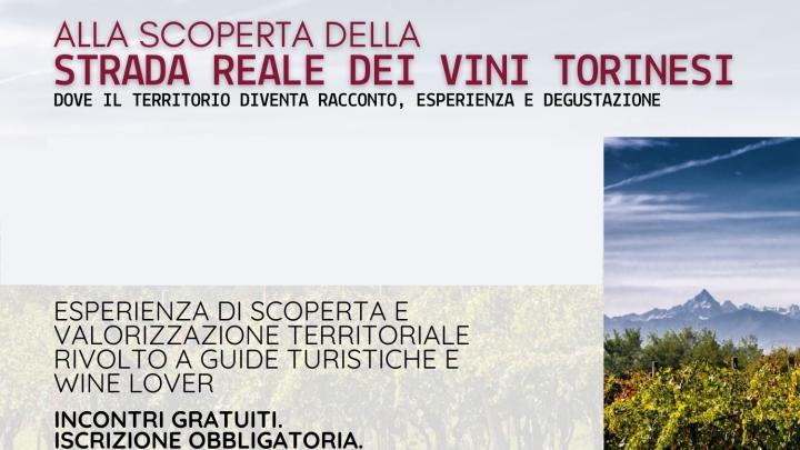 Strada Reale Dei Vini