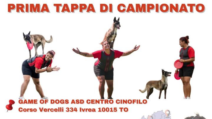 Ivrea Gameofdogs