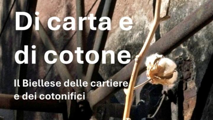 Locandina della mostra "Di carta e di cotone", particolare Titolo e fotografia di pianta di cotone