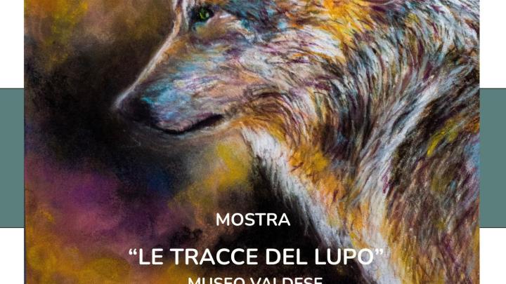locandina bis con lupo