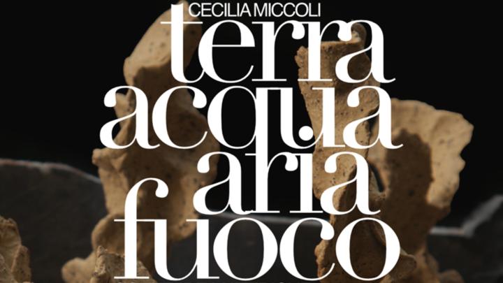 Titolo e fotografia di scultura sullo sfondo