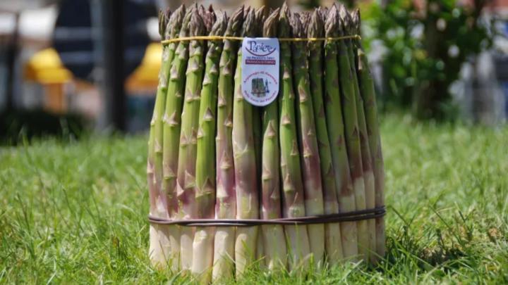 Mazzo di asparagi su un prato assolato