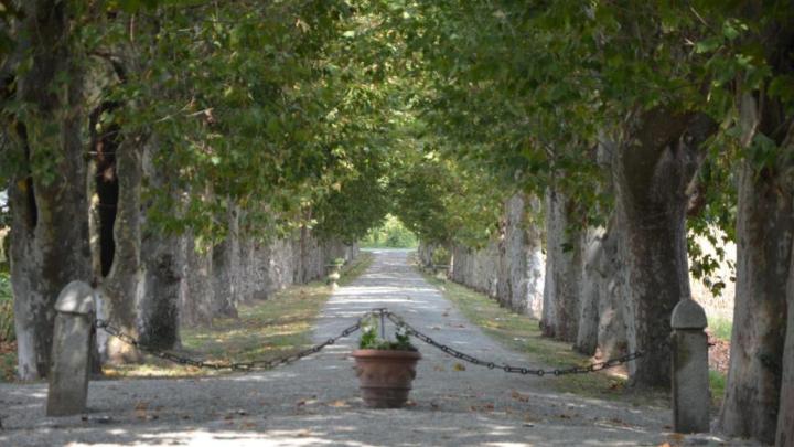 Giardino di Villa Sciolla “Il Castelletto” 